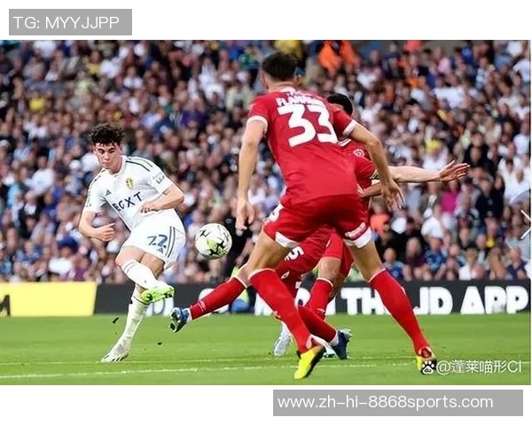 2019年英甲联赛什鲁斯伯里对阵查尔顿精彩回顾与赛况分析