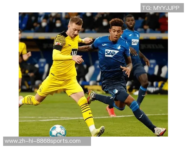 德甲激战霍芬海姆迎战云达不来梅双方争夺三分精彩对决即将上演